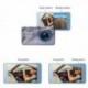 Caméras Dashcam voiture 1080P à vision infrarouge 